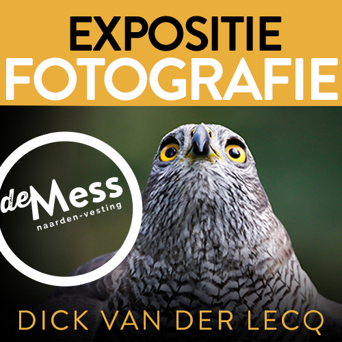 Expositie_FOTO_DickvdLecq