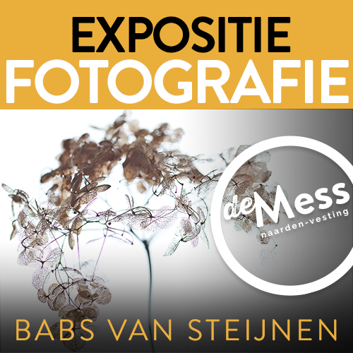 Expositie_FOTO_BabsvanSteijnen