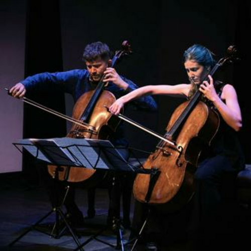 Winter projectkoor deMess